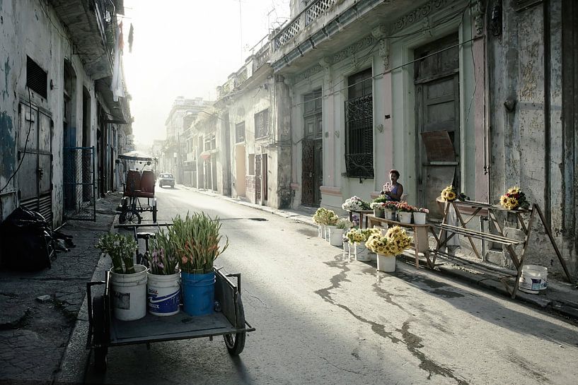 Havanna, Kuba im Morgengrauen. Typische Wohnstraße im Zentrum mit geparkten Autos und sehr wenig Ver von Tjeerd Kruse
