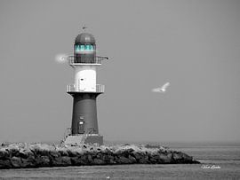 Reflektion by Vera Laake