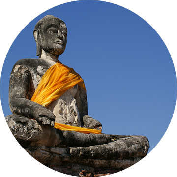 Boeddha in Ayutthaya van Sven Wildschut
