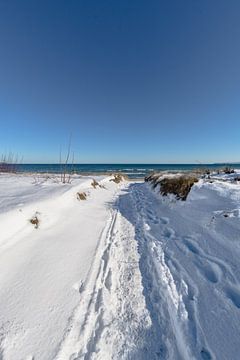 Dünen im Schnee, Strand in Juliusruh auf Rügen
