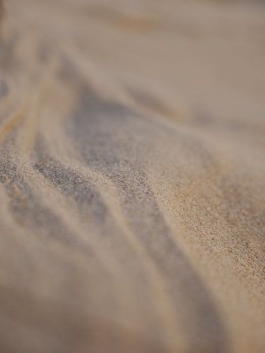 Spel van schaduw en warm zonlicht op het strand van Texel.