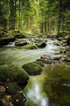 Brook run in the forest of Bavaria by Tobias Luxberg