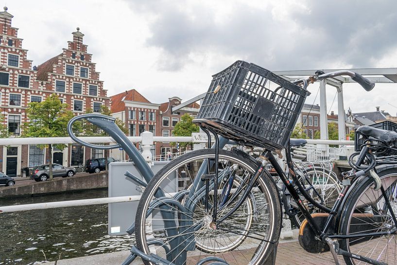 Bike along Haarlem canal by Kim de Been
