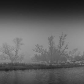 Trees on a bank in the Biesbosch by Wildfotografie NL