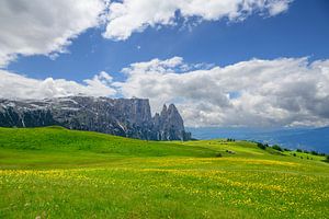 Schlernmassiv von der Seiser Alm aus gesehen