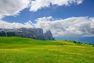 Sciliar massief gezien vanaf de Seiser Alm