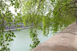 Langs het water sur Ivana Luijten