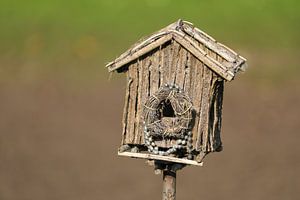 Vogelhuisje