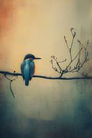 Ijsvogel in de mist