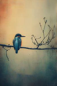 Eisvogel im Nebel