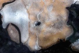 Eisskulptur mit Auge