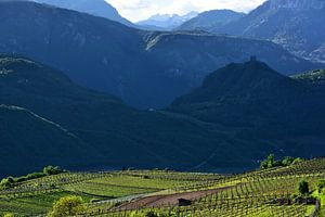 Ein Frühlingsmorgen in Südtirol