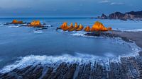 Rocky Coast Asturias by Chris Stenger thumbnail