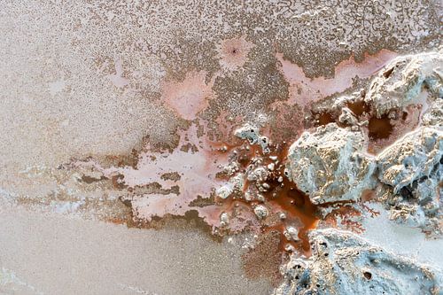 L'envie d'émerveillement