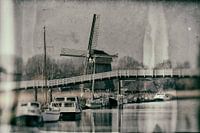 Special Alkmaar 
