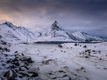 Besneeuwde bergen bij een meer. van Andy Luberti