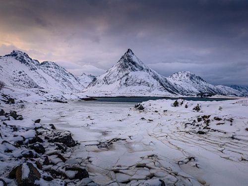 Montagnes enneigées au bord d'un lac.