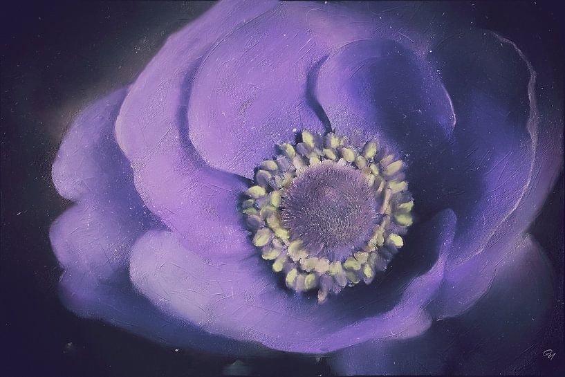 Blumenmalerei - lila Anemone von Christine Nöhmeier