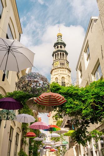 Reigerstraat in Middelburg