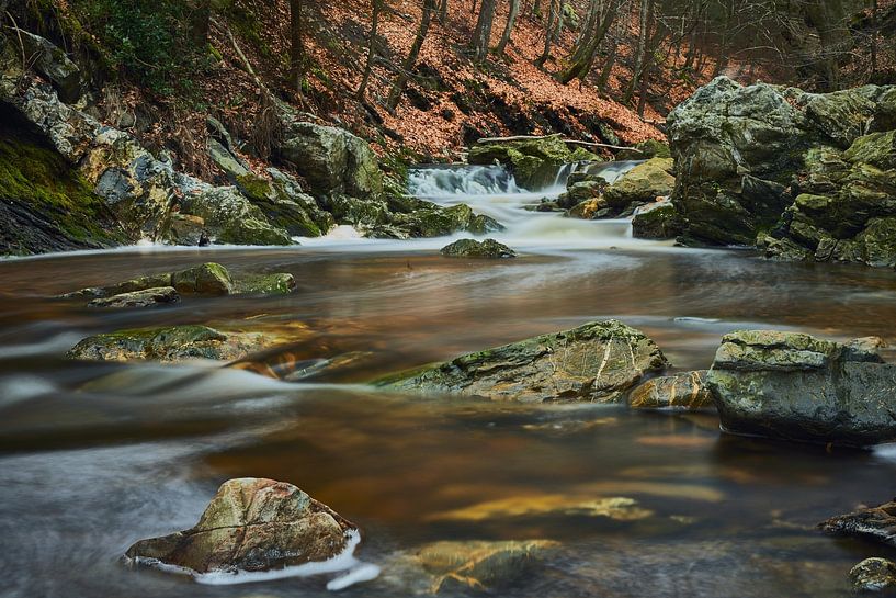 Colors of nature by Angelique Spanjaard-Oomen