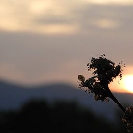 Sunset Umbrie van Noortje van Zuidam