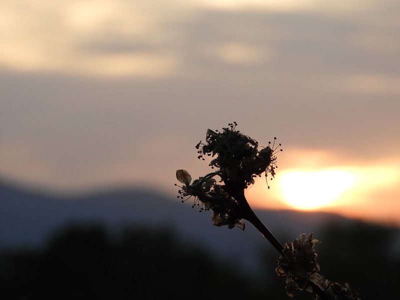 Sunset Umbrie by Noortje van Zuidam