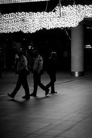 Gesynchroniseerde wandel by Edzard Boonen