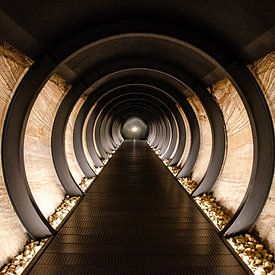 Light at the end of the tunnel by Rüdiger Rohmann