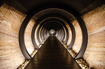 La lumière au bout du tunnel sur Rüdiger Rohmann
