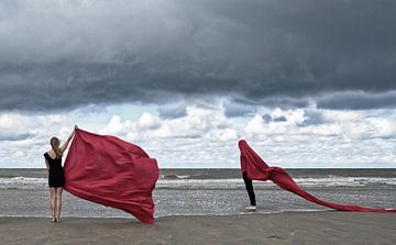 Red by Hans Vink