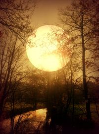 Tagtraum von Vera Laake