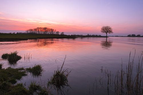 Zonsondergang bij het water met boom op krib