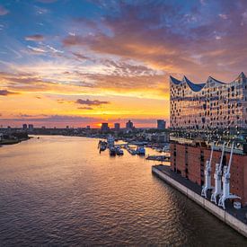 Elbphilharmonie in Hamburg, Duitsland van Michael Abid