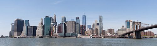 Skyline New York City von Bart van Dinten