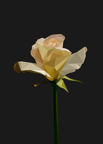 Gele Witte Roos Lowpoly Abstract