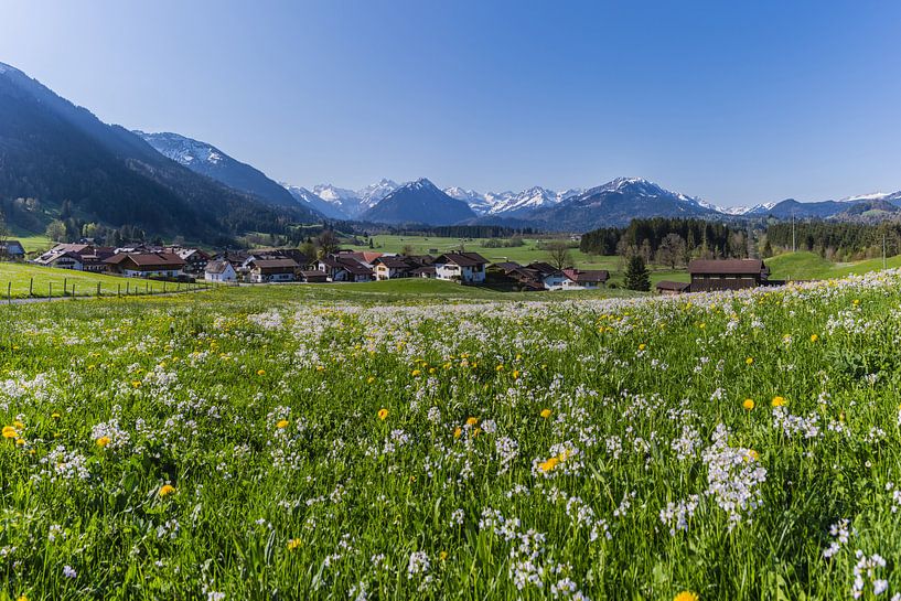 Rubi, Allgaeu by Walter G. Allgöwer