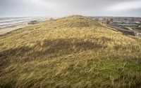 Dunes près de Callantsoog par Martijn Tilroe Aperçu