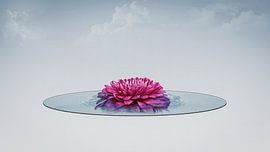 Japandi I von Klaartje Majoor