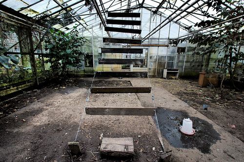 Frederiksoord: greenhous of the former horticultural school