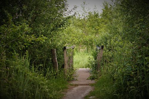 Brücke im Gebüsch von Manjek Schellekens