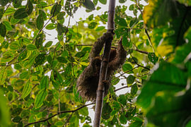 Costa Rica – wo Natur, Abenteuer und pure Schönheit aufeinander treffen