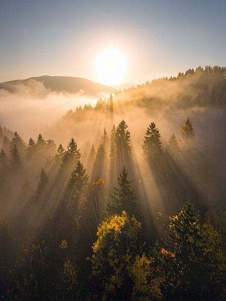 Sonnenstrahlen und Nebel über den herbstlichen Wäldern . Sonnenstrahlen en nevel boven de herfstige bossen von Christina Bauer Photos