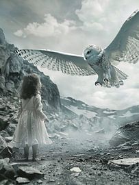 flying owl by haroulita