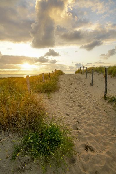 Strand, zee en zon van Dirk van Egmond