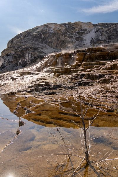 Mammoth Hot Springs, Yellowstone National Park, USA by Jeroen van Deel