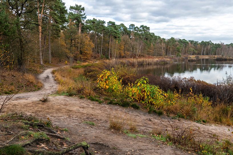 Het pad langs het Voorste Goorven van Els Oomis