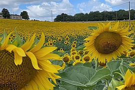 VivaLa France by Truckpowerr