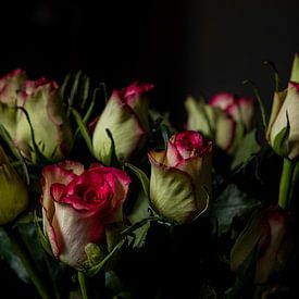Roses von Yannick Roodheuvel