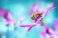 Honey bee  von Michelle Zwakhalen Miniaturansicht