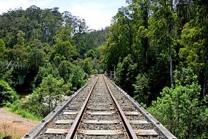 Die Eisenbahnstrecke der Walhalla Goldfields